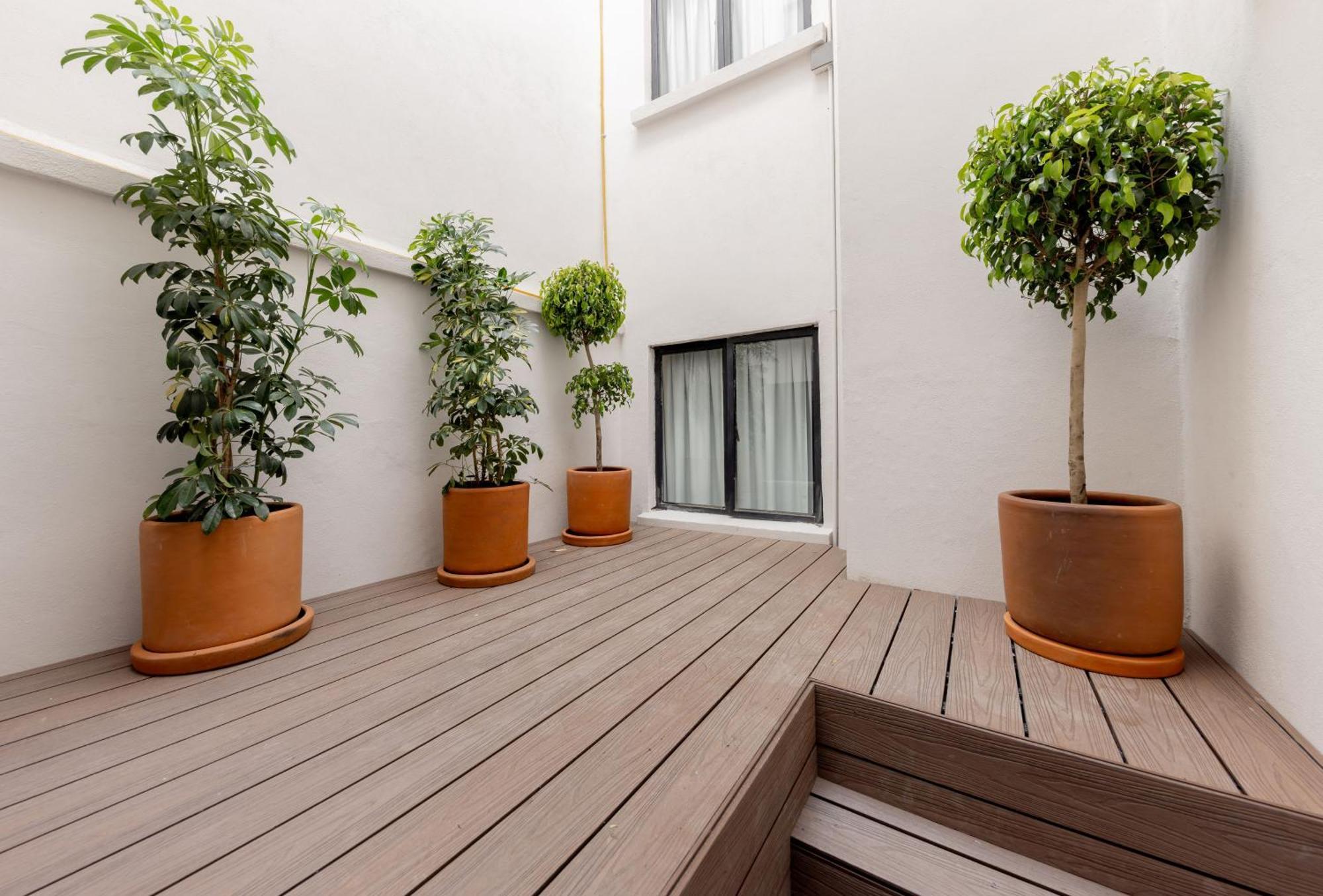 Baranda Ocho Apartment Mexico City Ngoại thất bức ảnh